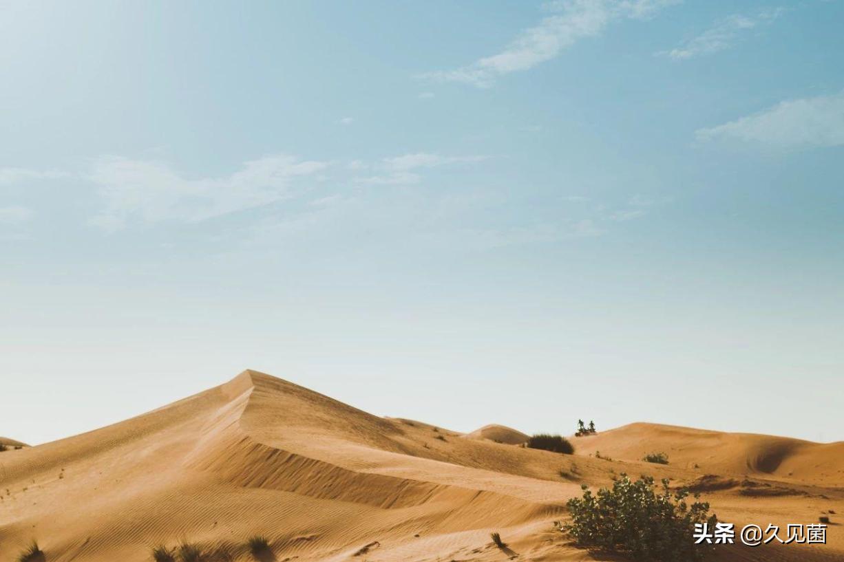 中国人改造沙漠的能力,中国人把沙漠变成绿洲