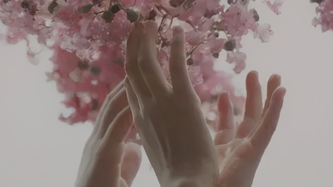 步履不停书籍推荐,步履不停系列电影