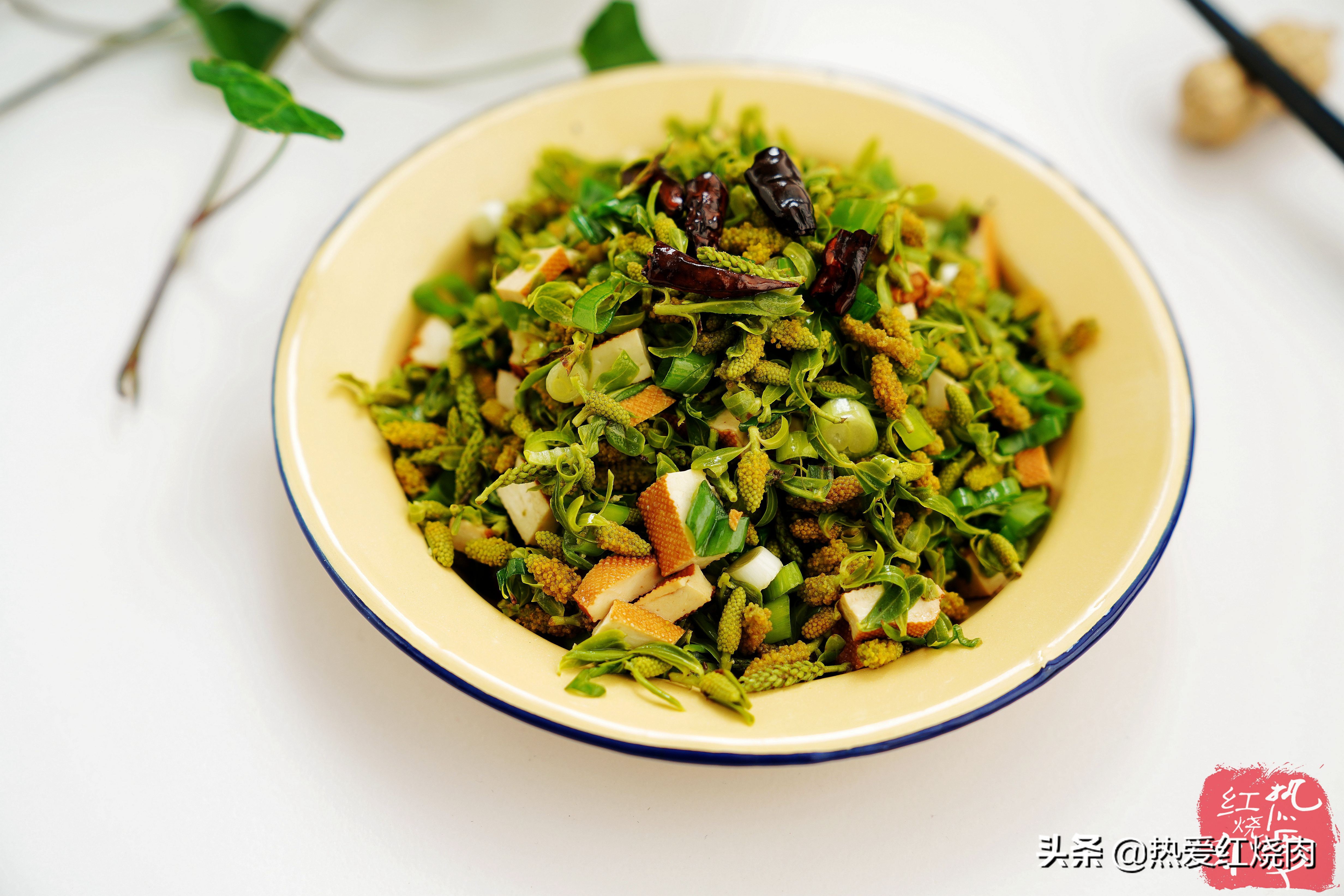 春天各种树芽的吃法,树芽的正确吃法