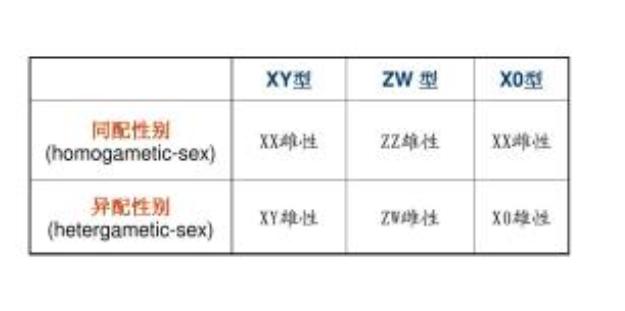 全国首只虎狮虎兽,老虎为什么喜欢狮虎兽