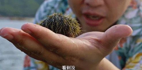 被央视表扬的b站up主,b站up主真实故事