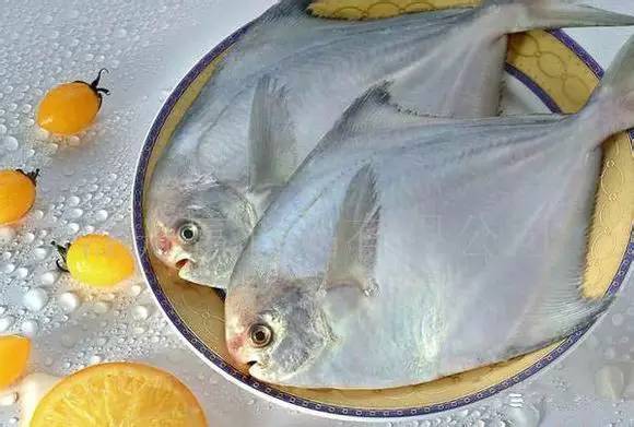 史上最全海鲜视频,史上最全海鲜贝类大全