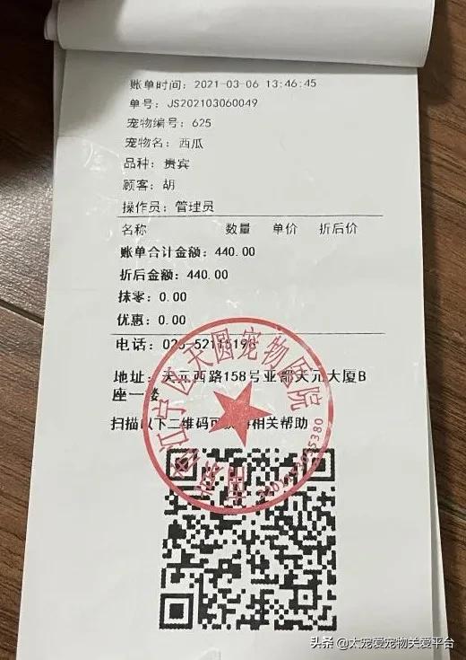 十二指肠溃疡丨太宠爱理赔案例南京天圆宠物医院