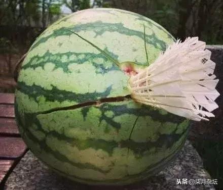 打羽毛球肘关节受伤该如何处理,羽毛球和网球哪个更容易受伤