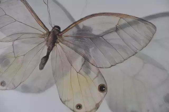 素描绘画要用什么笔好,素描绘画可以画什么