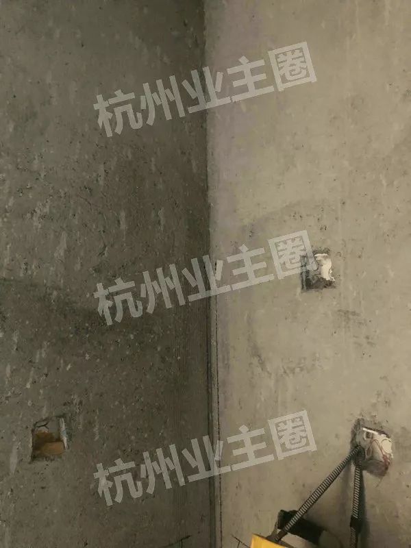 绿都什么意思,绿都包括哪些绿