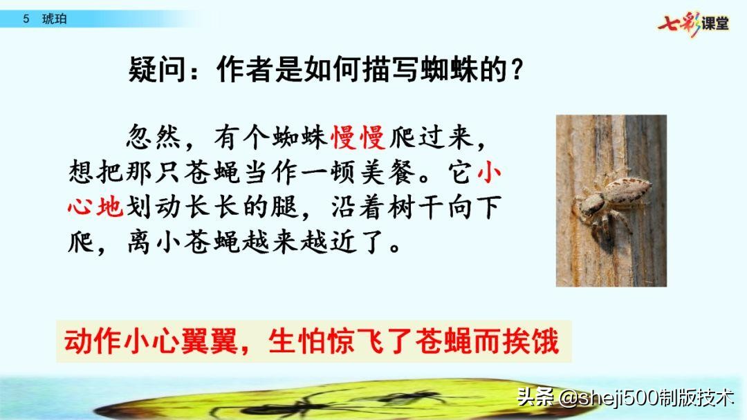 四年级语文下册第5课琥珀知识点,语文书四年级下册琥珀预习分段