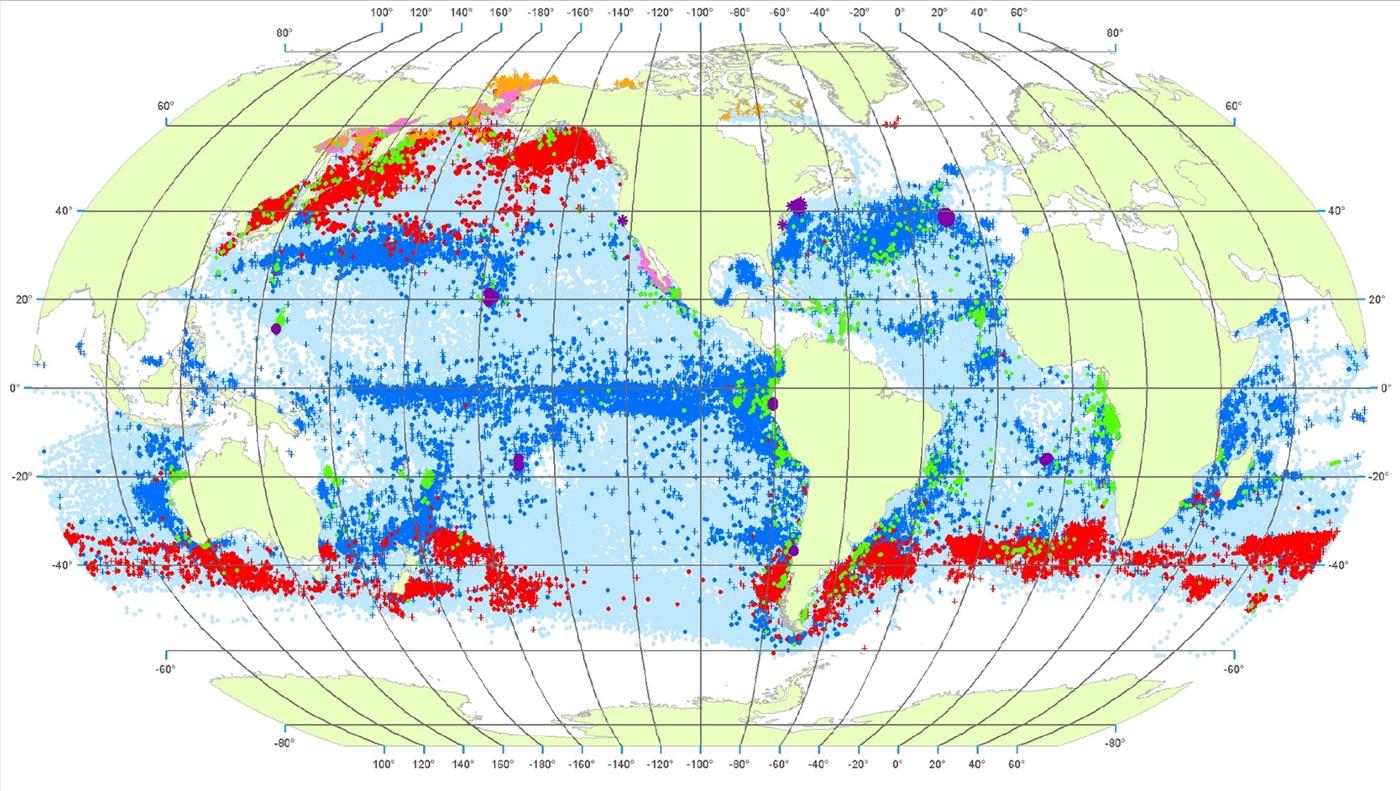 美国大型捕鲸的真实事件,抹香鲸有多濒危