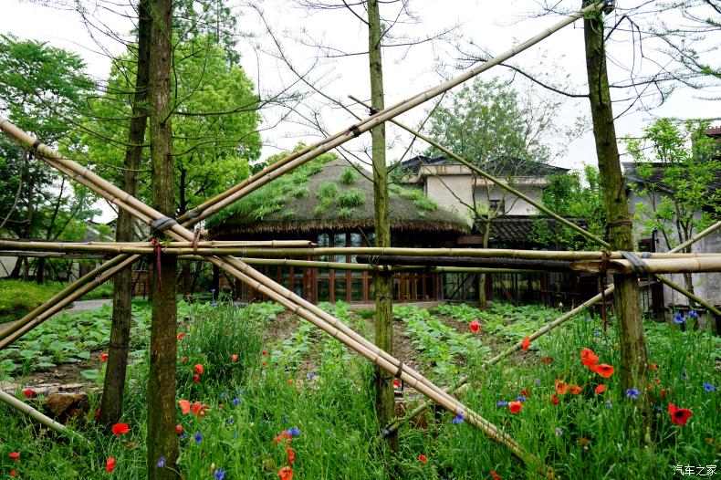 乌村值得去的地方,乌村最好的地方