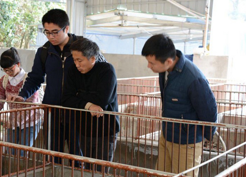 农村最缺什么生意项目,农村生意项目小本经营