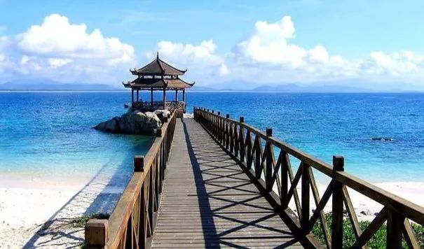 游学冬令营2024,游学冬令营活动