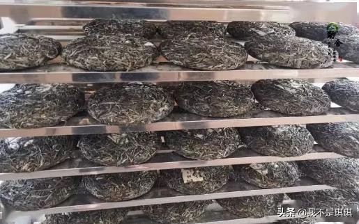 普洱茶真相揭秘切记不懂装懂,普洱茶切忌不懂装懂