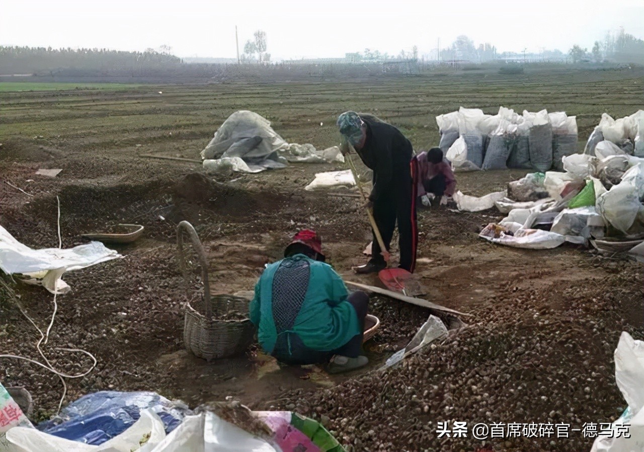 一台几千块的粉碎机就能创业成功？村民：再也不出去务工了