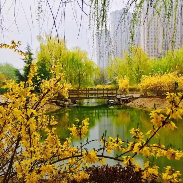 灞卞笀闄勪腑鍒嗘牎,鑿忔辰灞卞笀闄勪腑