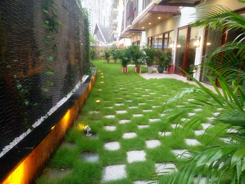 泰国菜为什么这么好,泰国菜为什么那么好