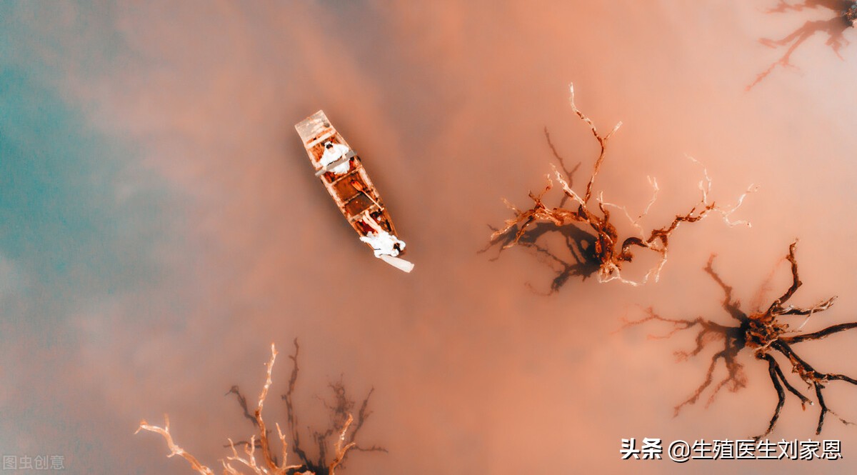 人被洪水泡过要注意什么,被水淹是控水还是急救