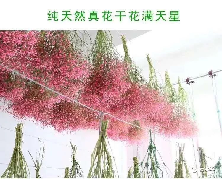 一间小小的花店，透出80后创业者的不凡思维--胡姐花艺