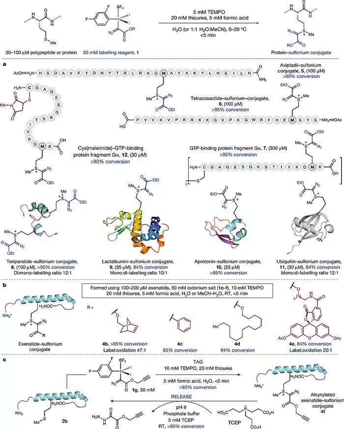 nature蛋白质识别,nature蛋白质作用