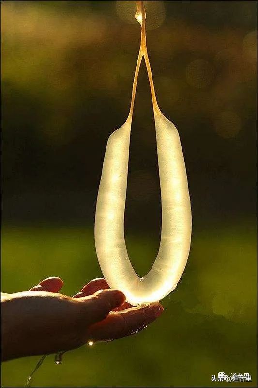 老海门工商百业⑤——肠衣业