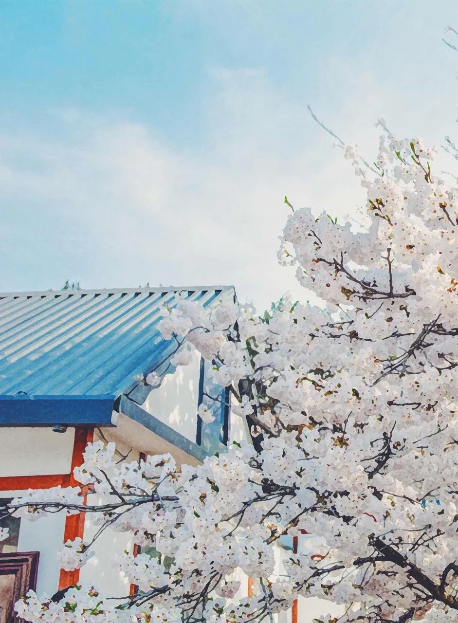 去大连海边玩一趟要多少钱,去海滨城玩有什么攻略