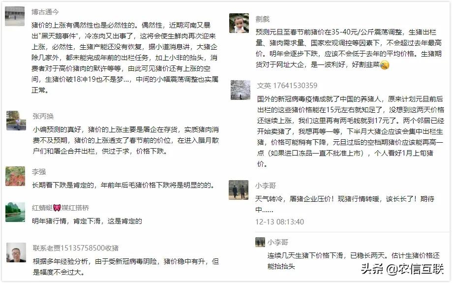 猪价全线下跌反弹时机是否可期,猪价回落养猪十年