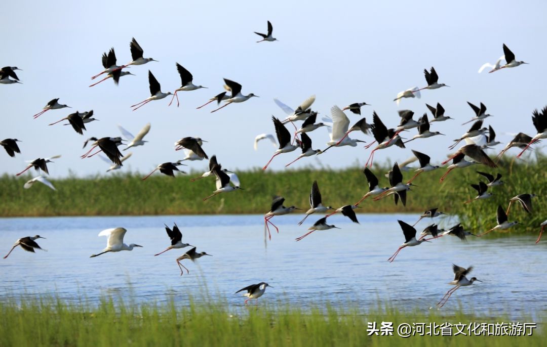 动听河北|这片湖被称作“东亚蓝宝石”，竟是禹王治水留下的“禹迹”！