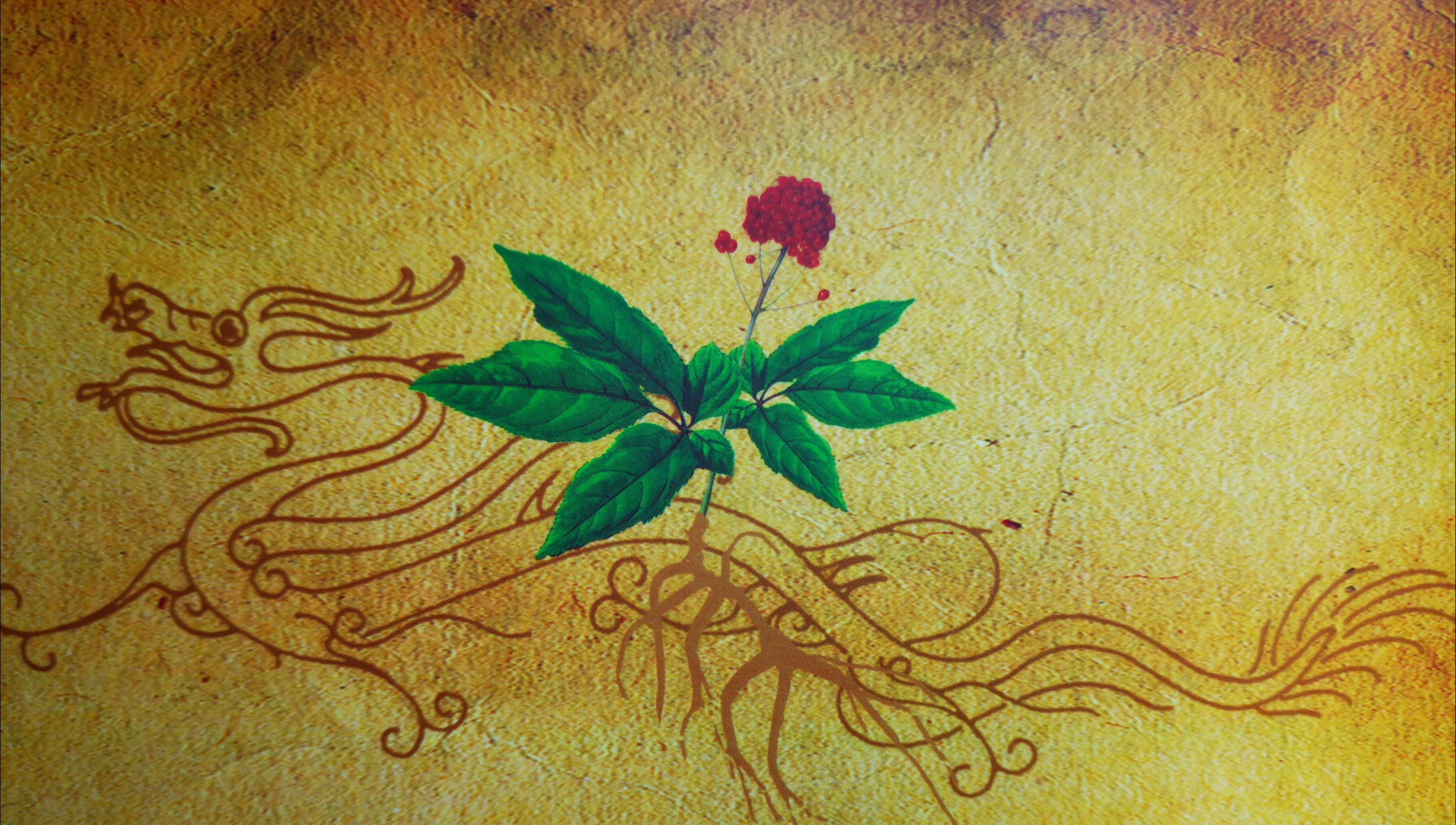 吉林朱雀山里有什么,吉林朱雀山皇家庄园的秘密