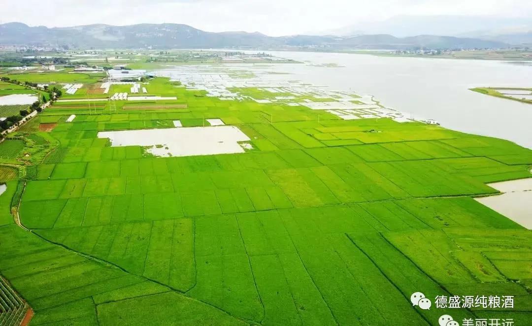 好酒配好菜，幸福又爽快，安排走起……