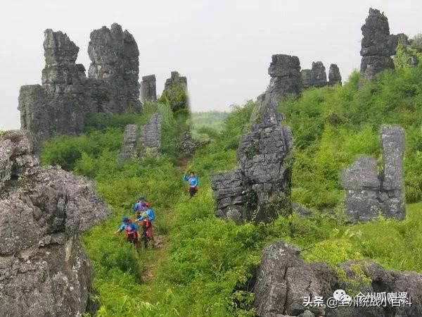 央视宣传全州,央视向全国推介吉林