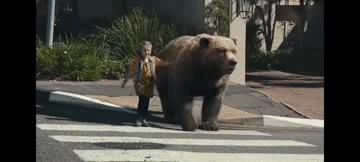 大象迁徙事件始末,大象迁徙为什么又回去了