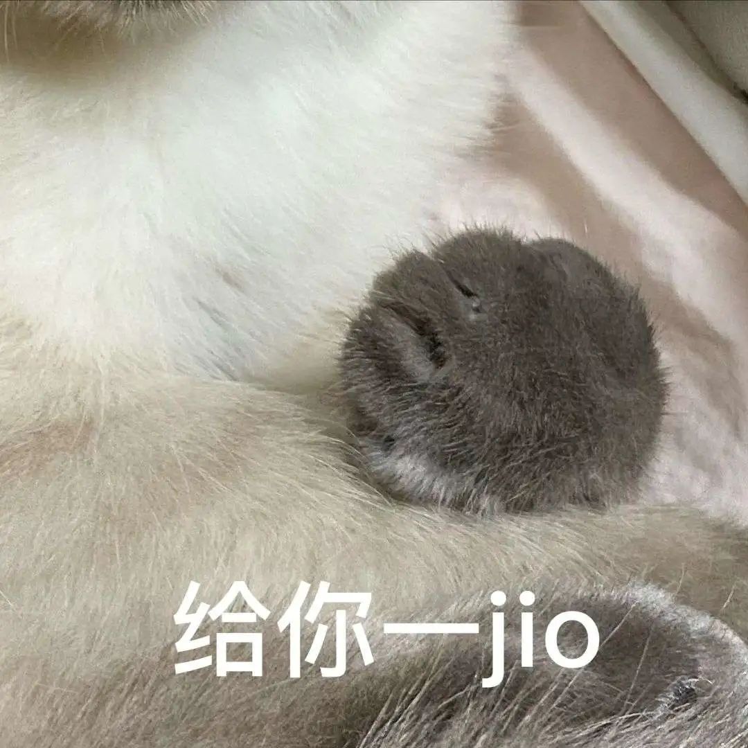 煤老板爆红完整版,煤老板ins