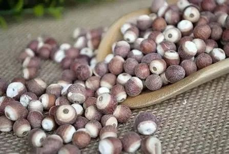 江南六大古镇同里,江南幸福楼同里古镇