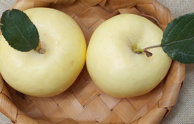 山东奶白桃,山东奶白脆苹果