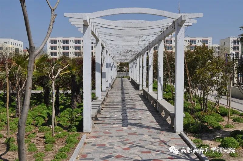 永城职业学院单招真题,永城职业学院五年一贯制录取