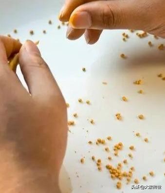 厦门非遗漆线雕的相关知识,非遗漆线雕手艺惊艳众人