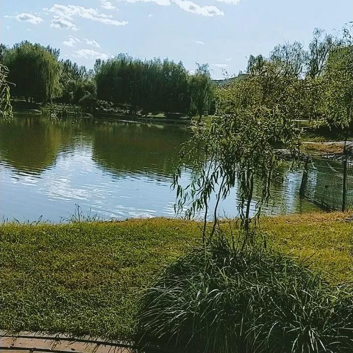 吉林市第一中学吉林市排名,吉林市省重点高中