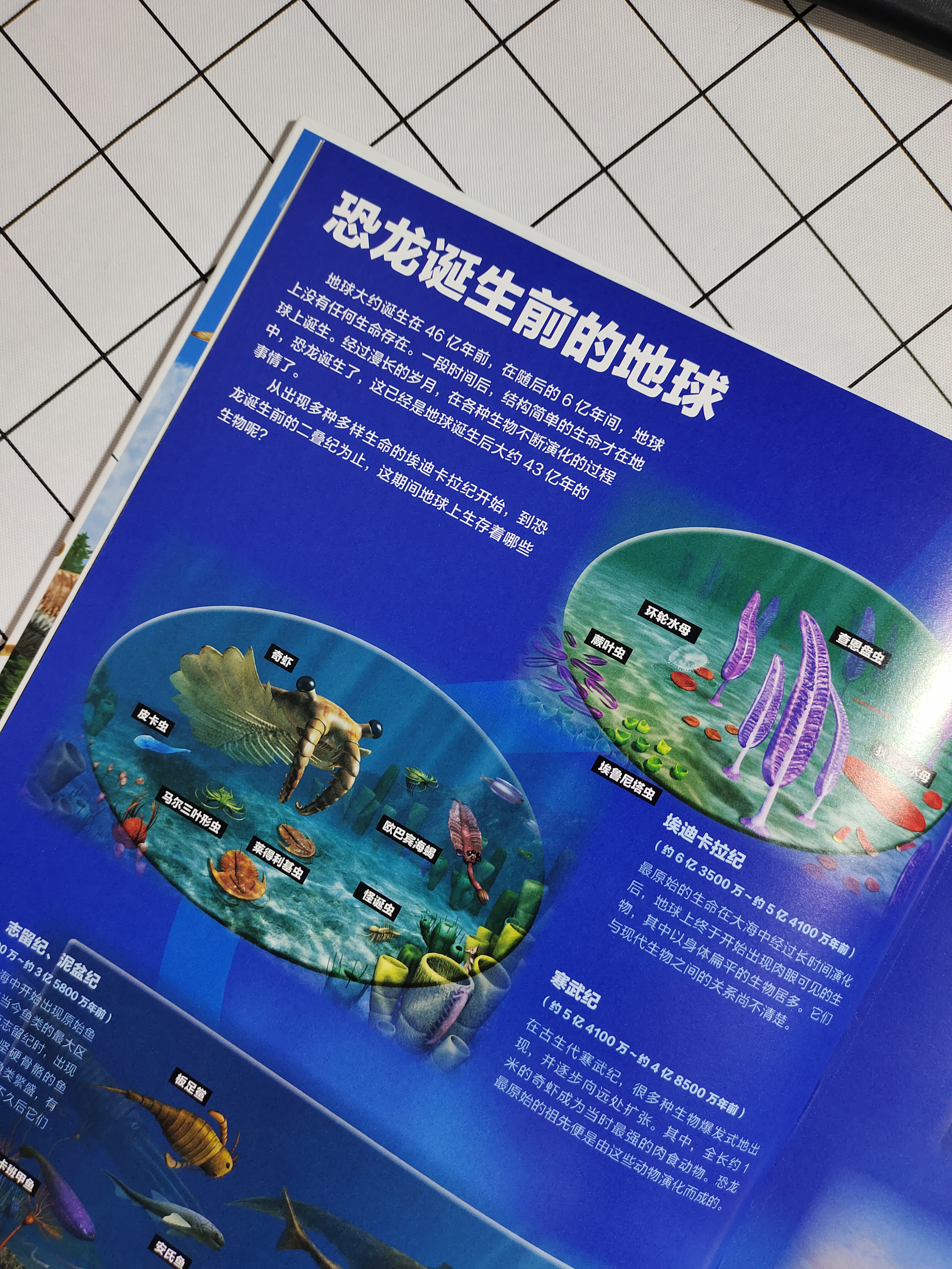 世界上知识点最全的恐龙百科全书,恐龙百科全书恐龙世界的无穷奥秘