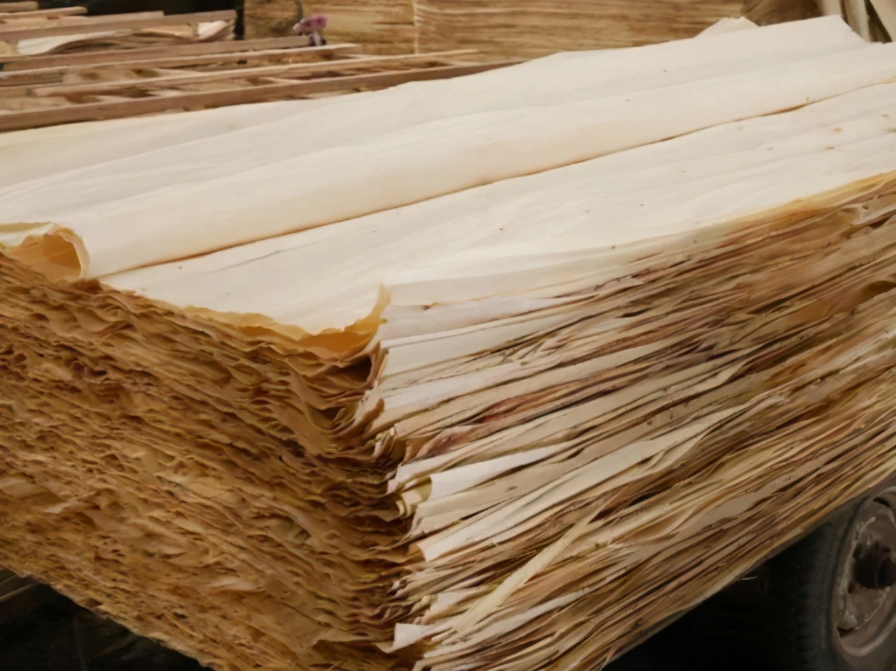 木皮染色材料视频,常见天然木皮