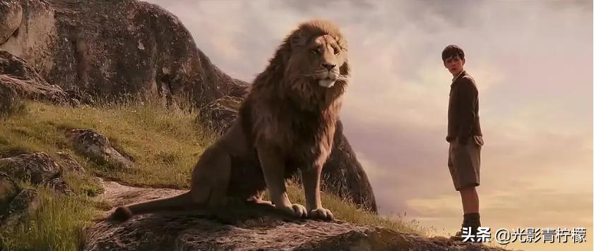 魔戒纳尼亚传奇哈利波特,纳尼亚传奇和哈利波特分院帽