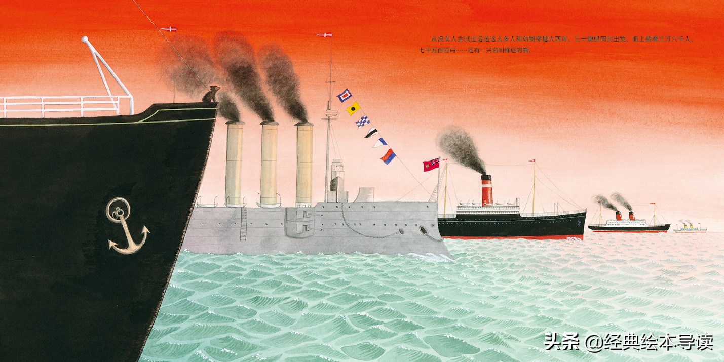 一只世界著名小熊的真实故事——《寻找维尼》导读