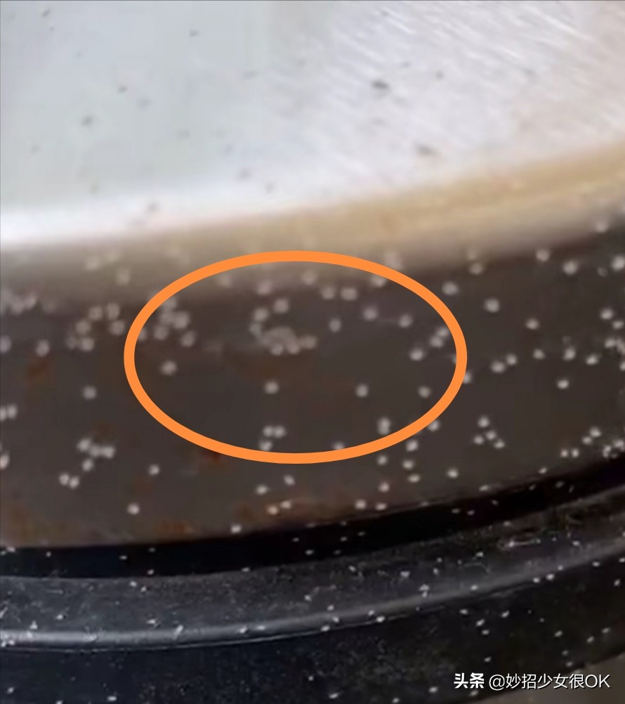 超实用！掰断的蚊香不要扔，用它泡水，一年能省好几百