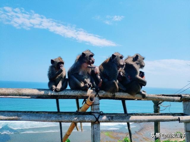 巴厘岛游记400字,巴厘岛游记作文