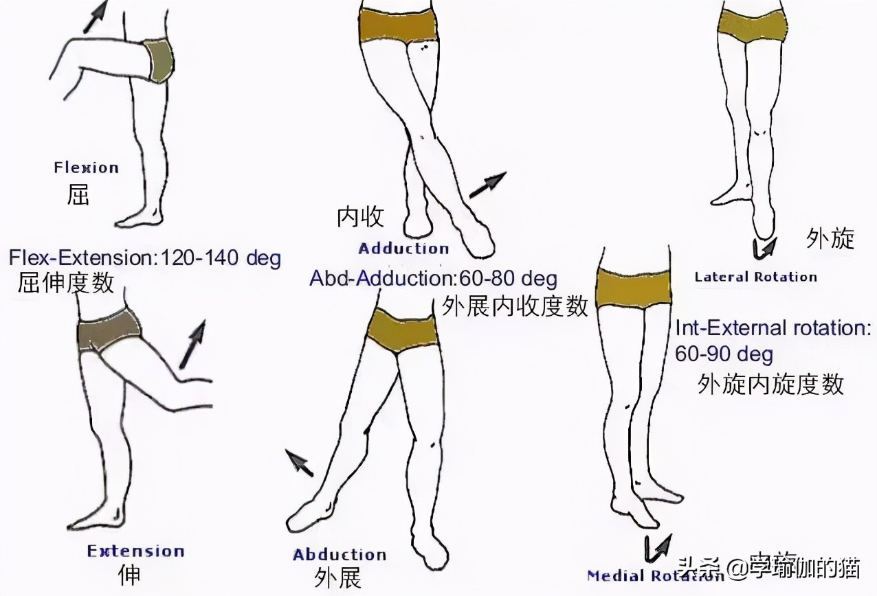 瑜伽竖叉胯不正怎么办,为什么练瑜伽会变成骨盆后倾