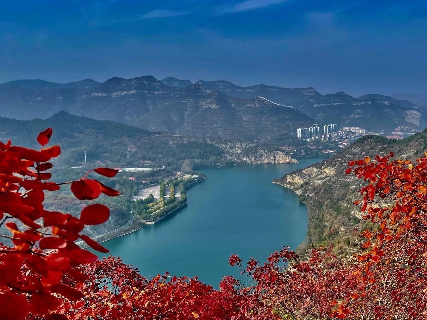 *合六**顺账户交易纪实（211108）