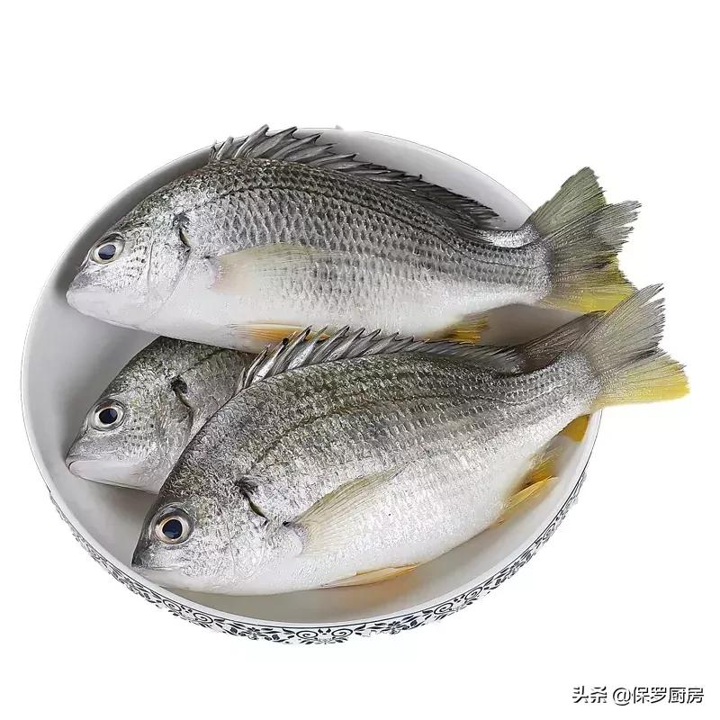 海鲜大荟萃,常见贝壳类海鲜