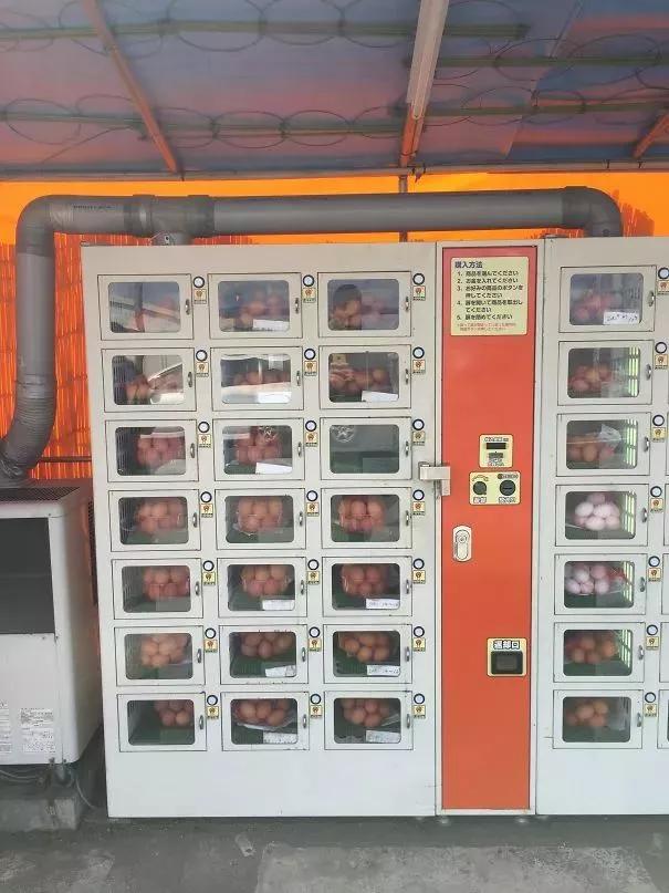 日本的极简习惯,日本特色你知道吗