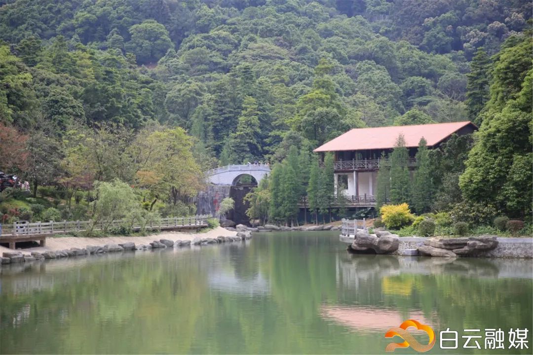 白云区好的初中排名榜,白云区成绩排名