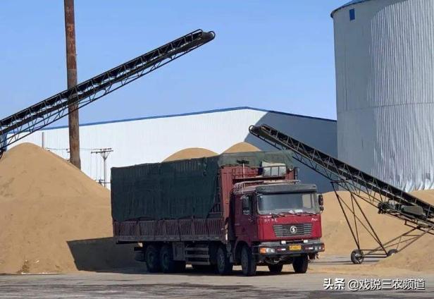 粮价上涨真的能改善农民收入吗,粮价上涨收粮食能赚钱么