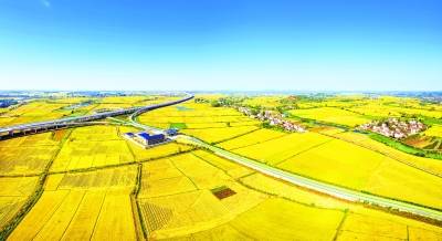 解码江夏乡村振兴,江夏青龙山乡村振兴