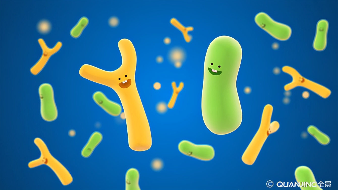 双歧杆菌维护肠道碱性还是酸性,双歧杆菌对胃粘膜有修复作用